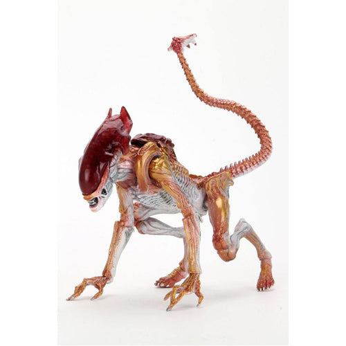 Aliens Panther Alien (kenner Tribute) 7 Inch Scale Action Figure