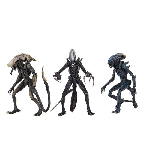 Aliens Vs Predator (movie Deco) Alien Assortment 7 Inch Scale Action Figures