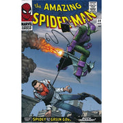 Amazing Spider-Man Omnibus Vol. 2, The (Hardback)