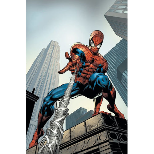 Amazing Spider-Man by J. Michael Straczynski Omnibus Vol. 2 (Hardback)