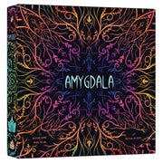 Amygdala
