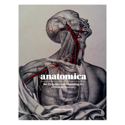 Anatomica