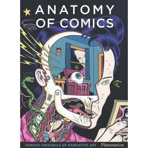 Anatomy of Comics - MacDonald, Damien - Paperback