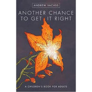 Another Chance to Get it Right (Hardback)