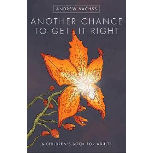 Another Chance to Get it Right (Hardback)