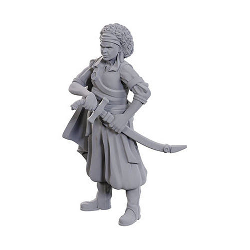 Ansalon Human Rogue: D&D Nolzur's Marvelous Unpainted Miniatures (W23)