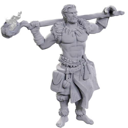 Archdruid & Martial Arts Adept: D&D Nolzur's Marvelous Miniatures (W24)