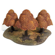 Autumn Forest