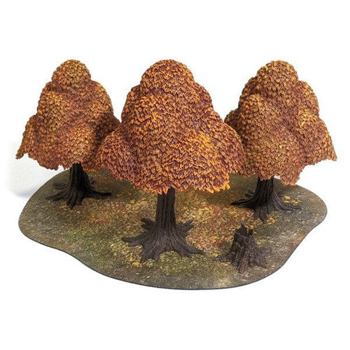 Autumn Forest