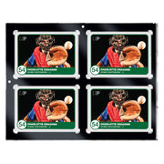 *B Grade* 35PT 4-Card Black Border UV ONE-TOUCH Magnetic Holder