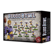*B Grade* The Elfheim Eagles Blood Bowl Team