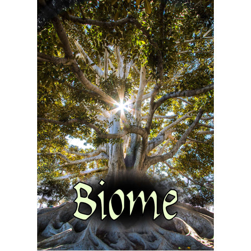 Biome RPG