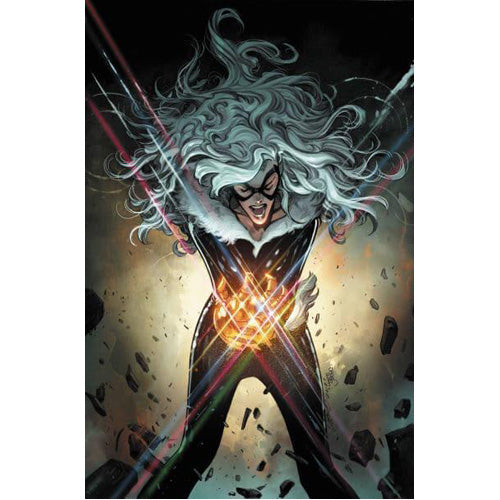 Black Cat Vol. 6 (Paperback)