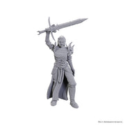 Blackguard: D&D Nolzur's Marvelous Unpainted Miniatures (W25)