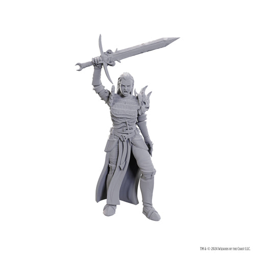 Blackguard: D&D Nolzur's Marvelous Unpainted Miniatures (W25)