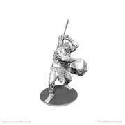 B'rohg: D&D Nolzur's Marvelous Unpainted Miniatures (W26)