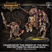 Champion of the Order of the Wall