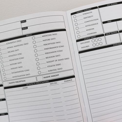 Character Journal - Rogue