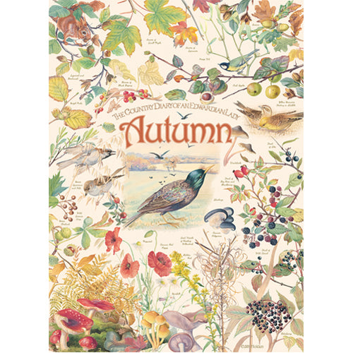Country Diary Autumn