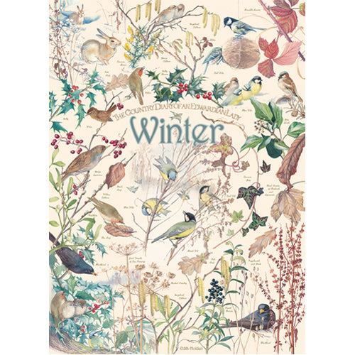 Country Diary Winter