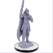 Critical Role Unpainted Miniatures W5: Percival & Cassandra De Rolo