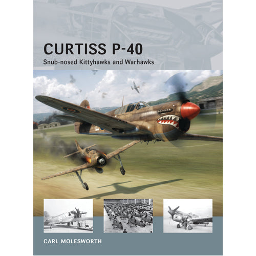 Curtiss P-40