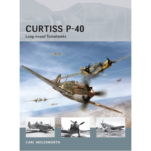Curtiss P-40