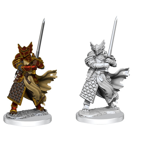 D&D Frameworks: Dragonborn Paladin Male (Wave 1)