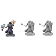 D&D Frameworks: Human Cleric Male (Wave 1)