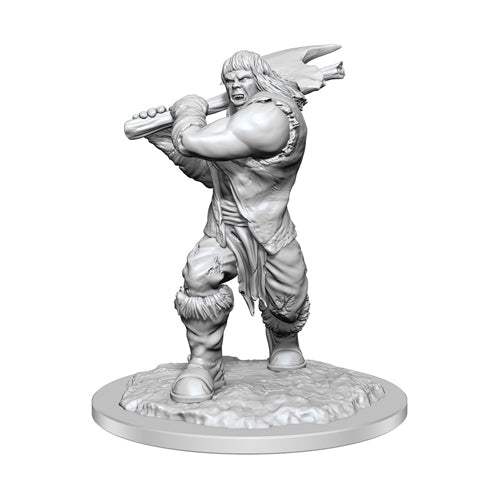 D&D Nolzur's Marvelous Miniatures Unpainted Miniature Ogre Female Case