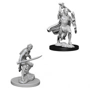 D&D Nolzur's Marvelous Unpainted Miniatures: Female Elf Fighter