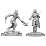 D&D Nolzur's Marvelous Unpainted Miniatures: Half-Elf Rogue Female (W17)