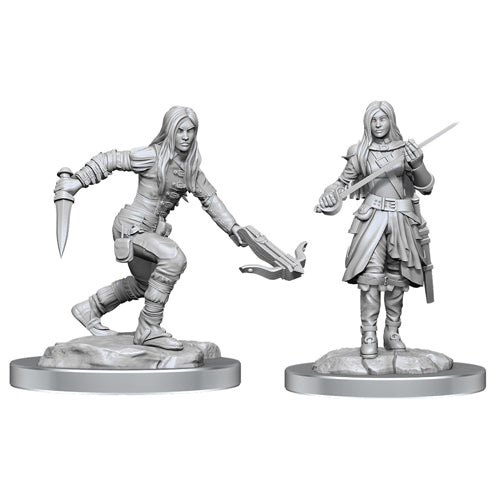 D&D Nolzur's Marvelous Unpainted Miniatures: Half-Elf Rogue Female (W17)