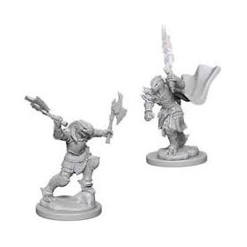 D&D Nolzur's Marvelous Unpainted Miniatures (W11): Female Dragonborn Fighter Pack of 6