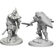 D&D Nolzur's Marvelous Unpainted Miniatures (W12) - Male Human Paladin