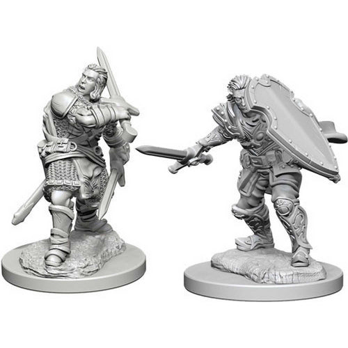 D&D Nolzur's Marvelous Unpainted Miniatures (W12) - Male Human Paladin