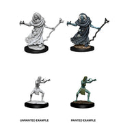 D&D Nolzur's Marvelous Unpainted Miniatures (W12) - Sea Hag & Bheur Hag