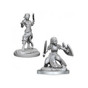 D&D Nolzur's Marvelous Unpainted Miniatures (W20): Shifter Fighter