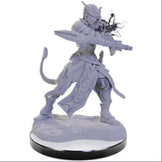 D&D Nolzur's Marvelous Unpainted Miniatures W22: Tiefling Warlocks
