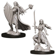 D&D Nolzur's Marvelous Unpainted Miniatures (W9): Female Elf Paladin