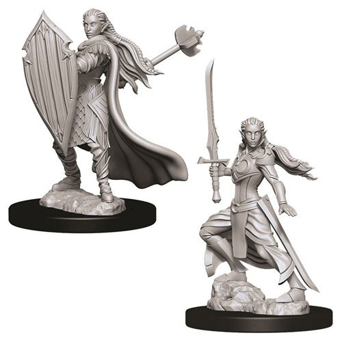 D&D Nolzur's Marvelous Unpainted Miniatures (W9): Female Elf Paladin