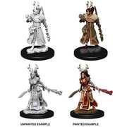 D&D Nolzur's Marvelous Unpainted Miniatures (W9): Female Human Druid