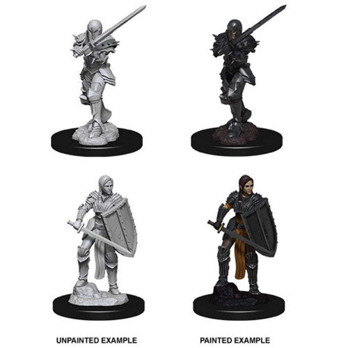D&D Nolzur's Marvelous Unpainted Miniatures (W9): Female Human Fighter