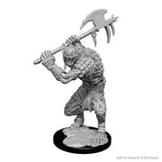 D&D Nolzur's Marvelous Unpainted Miniatures (Wave 1): Gnolls