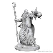 D&D Nolzur's Marvelous Unpainted Miniatures (Wave 1): Human Male Wizard