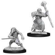 D&D Nolzur's Marvelous Unpainted Miniatures (Wave 10): Kenku Adventurers