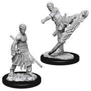 D&D Nolzur's Marvelous Unpainted Miniatures (Wave 10): Male Half-Elf Monk