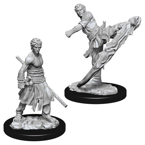 D&D Nolzur's Marvelous Unpainted Miniatures (Wave 10): Male Half-Elf Monk