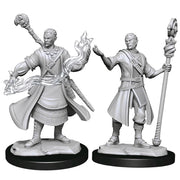 D&D Nolzur's Marvelous Unpainted Miniatures (Wave 14): Half-Elf Wizard Male