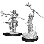 D&D Nolzur's Marvelous Unpainted Miniatures (Wave 14): Human Druid Female